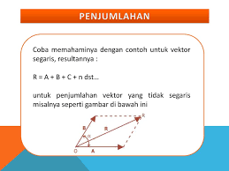 Fisika Dasar Vektor Kelompok 1 Anggota Chinta Eva A Ppt Download