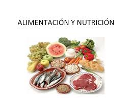 Resultado de imagen de NUTRIENTES Y ALIMENTACION