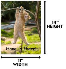 1 in the 2000s, it has come to serve as a symbol of corporate coldness. Poster Hang In There Katzen Poster Gedruckt Auf Premium Kartonpapier Grosse 27 9 X 35 6 Cm Perfektes Lustiges Motivationsposter Fur Zuhause Oder Buro Humorvolle Dekoration Lustiges Zitat Amazon De Kuche Haushalt Wohnen