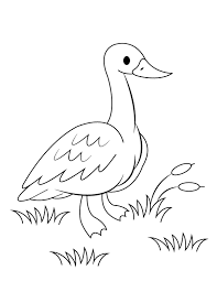 They're great for all ages. Printable Goose Coloring Page