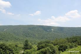 Check spelling or type a new query. Allegheny Mountains Maryland Usa June 2010 Mapio Net