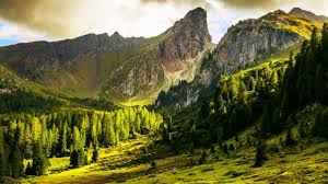 Nature 4k wallpapers for mac, pc, iphone 10 and x, ipad, android and windows 10. High Quality Natural Wallpaper 4k 1280x720 Download Hd Wallpaper Wallpapertip
