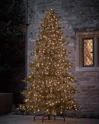 We did not find results for: When To Put Up Your Christmas Tree Conundrum Solved