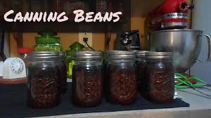 Jun 11, 2021 · summer baked beans. Canning Black Beans Dry Bean Method Youtube