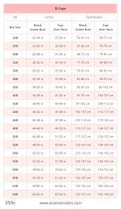 Reduce your band size by two, but take your cup size up one interval. American Us Bra Sizes In Inches And Centimeters