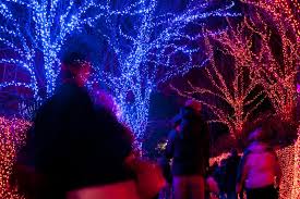 Zoolights Special Offers Oregon Zoo