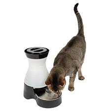 We've offered battery pet fountains since 2009. 7 Best Cordless Battery Operated Cat Water Fountains