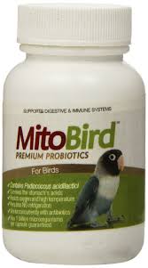Mitobird Premium Probiotics For Birds 15 Capsules Per Bottle Click Image For More Details It Is Amazon Aff Digestive Probiotics Pet Supplements Probiotics