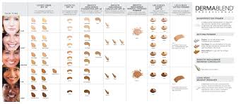 dermablend cosmetics shade and match master chart hair