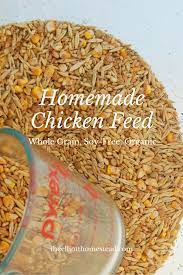 Organic Homemade Chicken Feed The Elliott Homestead Chicken Feed Chicken Diy Organic Chicken Feed
