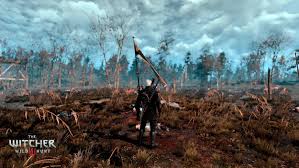 Обои по теме the witcher 3: Witcher 3 Wallpaper The Witcher Witcher 5000x2813 Wallpaper Teahub Io