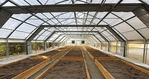 Put plants on wheels or otherwise move them daily. Light Deprivation Commercial Greenhouses Conley S Manufacturing And Sales