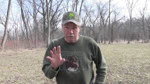 The quick answer is that because clover produces its own nitrogen a low nitrogen fertilizer is needed. Best Fertilizer For Clover How And When To Fertilize