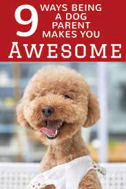 9 Ways Your Dog Makes You Awesome Good Doggies Online Good Doggies Online Baby Puppies Dog Care