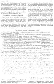 Image result for Combretum oxystachyum