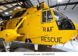 Image result for Yellow 2025 Fleet