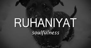 33 Magical Urdu Words That You Should Use More Often Urdu Words Urdu Words With Meaning Urdu Love Words
