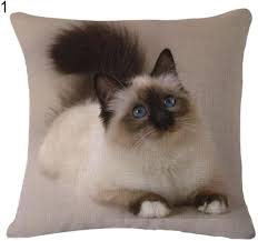 Epingle Sur Decoration Interieure