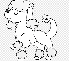 Maybe you would like to learn more about one of these? Toy Poodle Puppy Coloring Book Dalmatian Dog Puppy Love White Png Pngegg