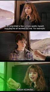 Hermione Is The Person That Voldmort Was Never Harry Potter Puns Harry Potter Jokes Harry Potter Funny