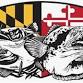 Wicomico Yacht Club 2nd Annual Invasive Species...