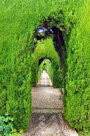 Grenade Granada 377 Les Jardins De L Alhambra Places To Go Explore Places