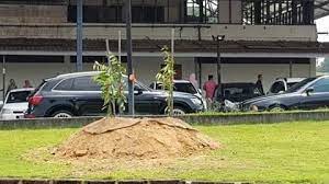 Teknik Penanaman Durian Dengan Dusun Warisan Bonda Facebook