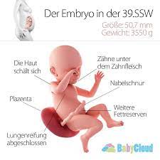 pin auf ssw schwangerschaftskalender