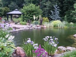 Feb 10, 2021 · how many gallons is a 1/4 acre pond? The Swimming Pond Summer 2010 Ramblin Through Dave S Garden