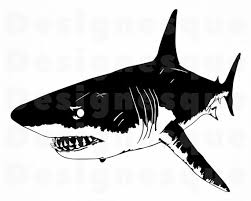 Free Free 100 Shark Clipart Svg SVG PNG EPS DXF File