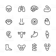 Black And White Icons 16 Line Black And White Icons Set Anatomy Reference Icon Set Timeline Design