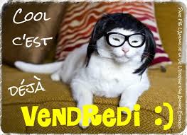 Cool C Est Deja Vendredi Vendredi Chat Deguisement Bon Vendredi Humour Video Drole Chat Perte De Poils Chat Chaton Rigolo