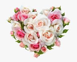 We did not find results for: Gift Wedding Rose Heart Flower Bouquet Wedding Bouquet Of Roses Png Transparent Png Kindpng