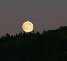 Lua nova, lua quarto crescente, lua cheia e lua quarto minguante. Feiticos E Rituais Oficina Das Bruxas Oficina Das Bruxas Lua Em Virgem Dia De Lua Cheia