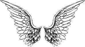 Angel Wings Images Black And White Angel Wings Sticker By Amandabrynn Angel Wings Images Wings Angel Wings Tattoo