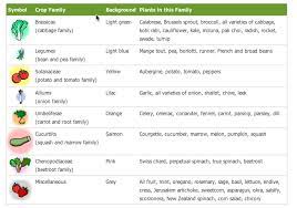 Is low in calories, carbs and sugars; Crop Rotation For Growing Vegetables