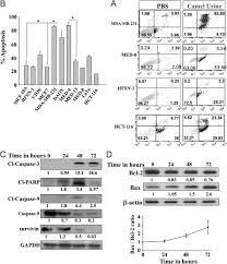 How often do you usually wash your hands while working at the quarantine facility? Camel Urine Components Display Anti Cancer Properties In Vitro Sciencedirect