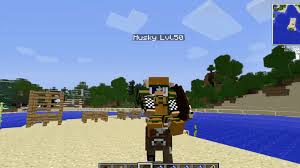 ¿te gustan los rpgs y eres fanático de minecraft? Class Armor Beast Master Mod 1 11 2 1 10 2