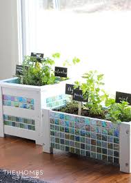 Begin with purchased plants, plants you've dug from an indoor herb garden also needs high humidity and good air circulation. An Easy Indoor Herb Garden Idea Perfect For Any Apartment Tips Forrent