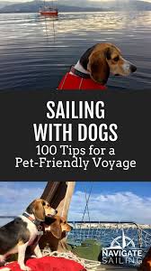 How To Sail With Dogs 100 Tips In 2020 Sailing Adventures Sailing Dog Travel