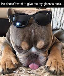 We talk about them, because they are a part of us, a part that we could never ignore or disown. Best Funny Quotes Funny Animal Pictures Of The Day 24 Pics Omg Quotes Your Daily Dose Of Motivation Positivity Quotes Sayings Short Stories