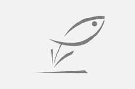 Mais aucun confinement généralisé n'a vu le jour. Federation De Peche Des Landes Activite Interdite Pendant Le Confinement Cadre De Vie Vie Pratique Accueil Lue