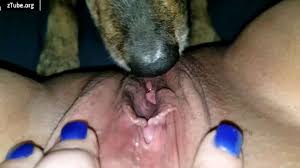 pov porn Video archives - zTube