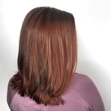 Hair Color For Morena 2020 17 Top Ideas You Should Try Photos Hair Color For Morena Chestnut Hair Color Hair Color For Morena Skin