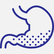 Despite this, pancreatic cancer is among the deadliest types of cancer, which is why it's extremely important to know and recogni. Stomach Organ Mesothelioma Abdomen Computer Icons Health Purple Text Gastrointestinal Tract Png Pngwing