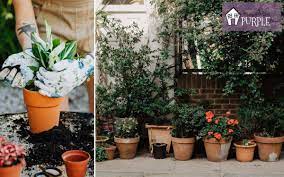 The answer lies in the purpose for which the soil is intended. Can You Use Garden Soil In Pots Fixing Common Container Mishaps Pretty Purple Door