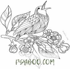 Feel free to print and color from the best 36+ angry bird coloring pages pdf at getcolorings.com. 20 Stunning Adult Coloring Pages 2020 Download Print For Free