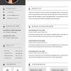 Finance manager resume template (text version). 1
