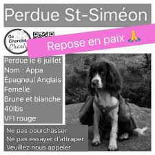 We did not find results for: Mise A Jour Le Chien D Etienne Gelinas Retrouve Sans Vie Tva Cimt Chau