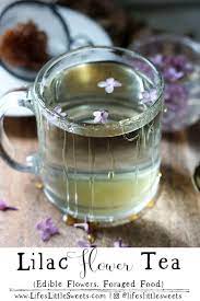 Lilac Flower Tea Hot Tea White Tea Edible Flowers Recipe Flower Tea Edible Flowers Lilac Flowers